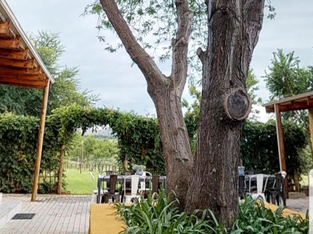 Cradle Valley Boutique Guesthouse Muldersdrift Zewnętrze zdjęcie